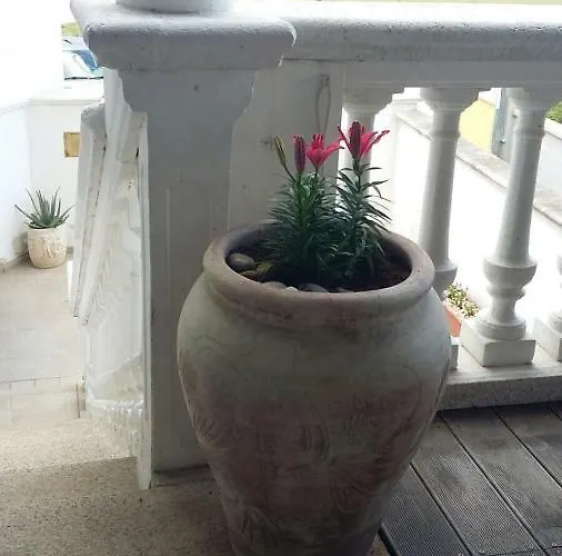 Frühstückspension Anno Domini