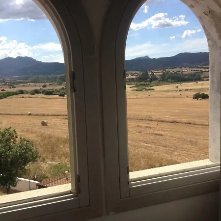 Anno Domini Ольбия